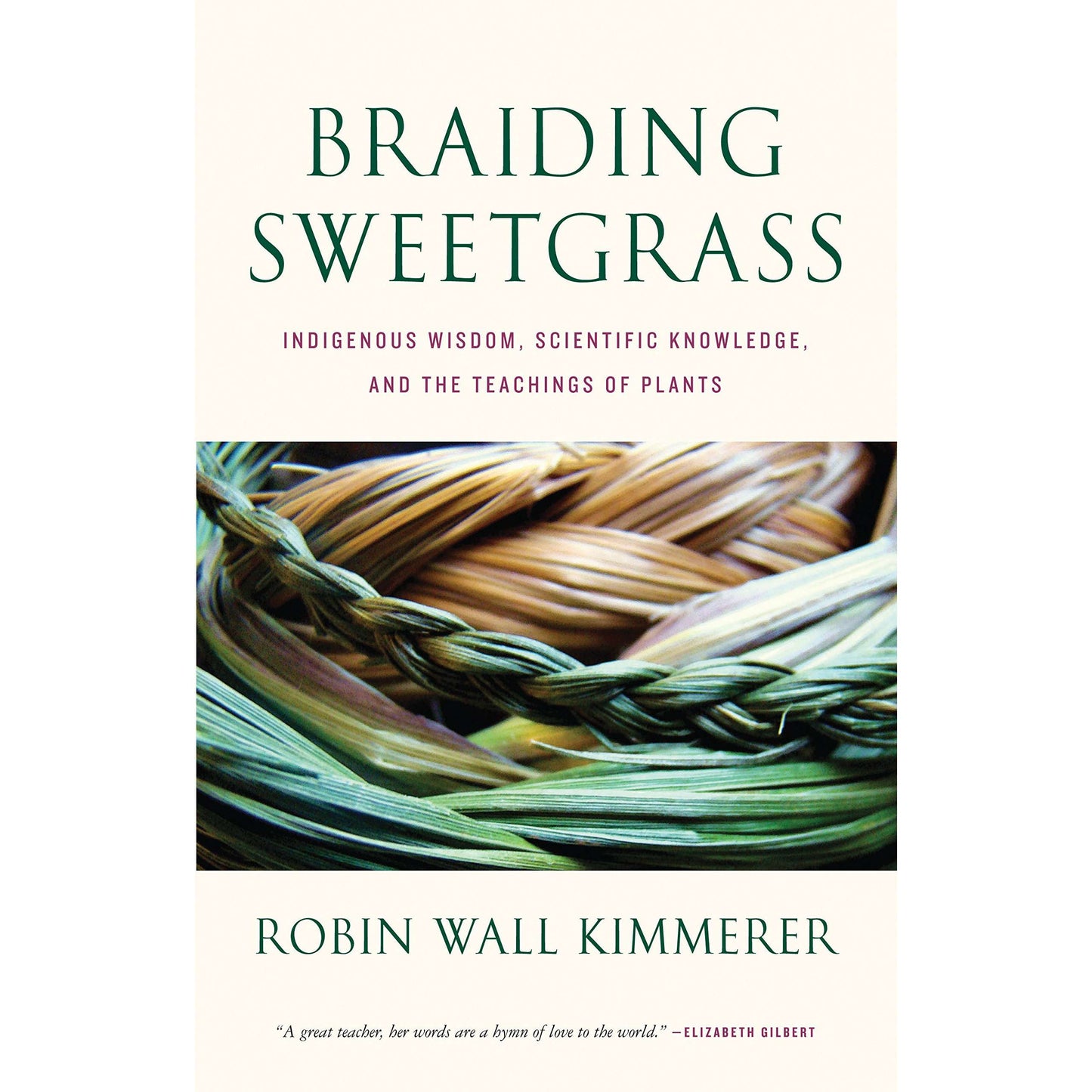 Paradise Clay PGW269 Braiding Sweetgrass - Book
