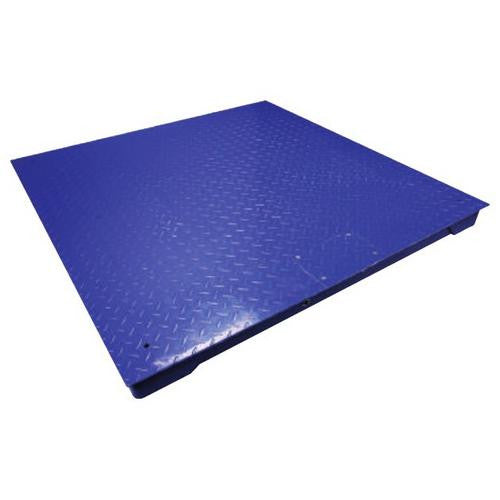 Adam Equipment PT 110 [AE503] PT Platforms with AE 503