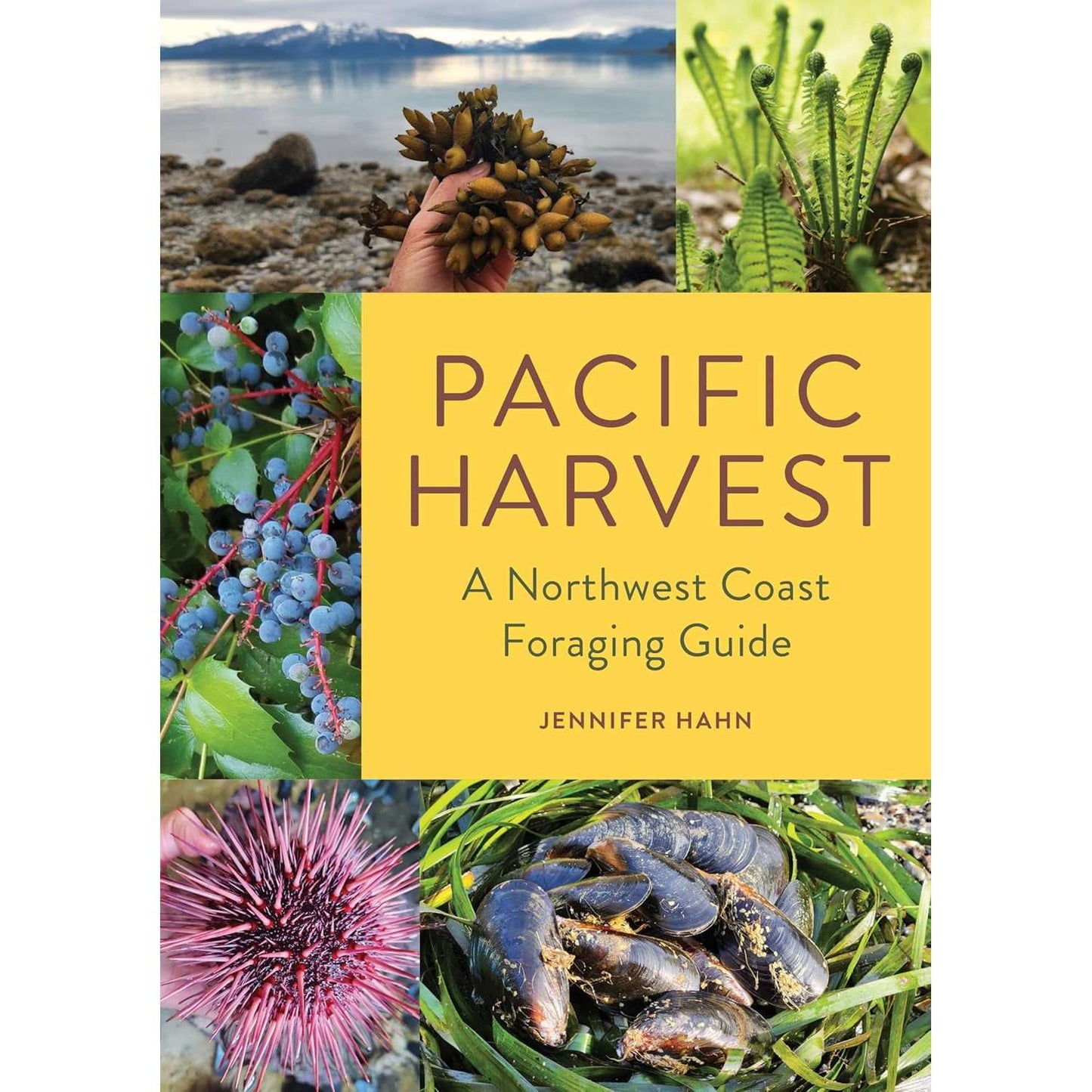 Paradise Clay MOU155 Pacific Harvest: A Northwest Coast Foraging Guide - Book
