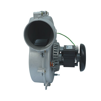 Packard 66833 Draft Inducer, Icp Replacement, 115 Volt, 1.6 Amps