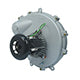 Packard 66833 Draft Inducer, Icp Replacement, 115 Volt, 1.6 Amps