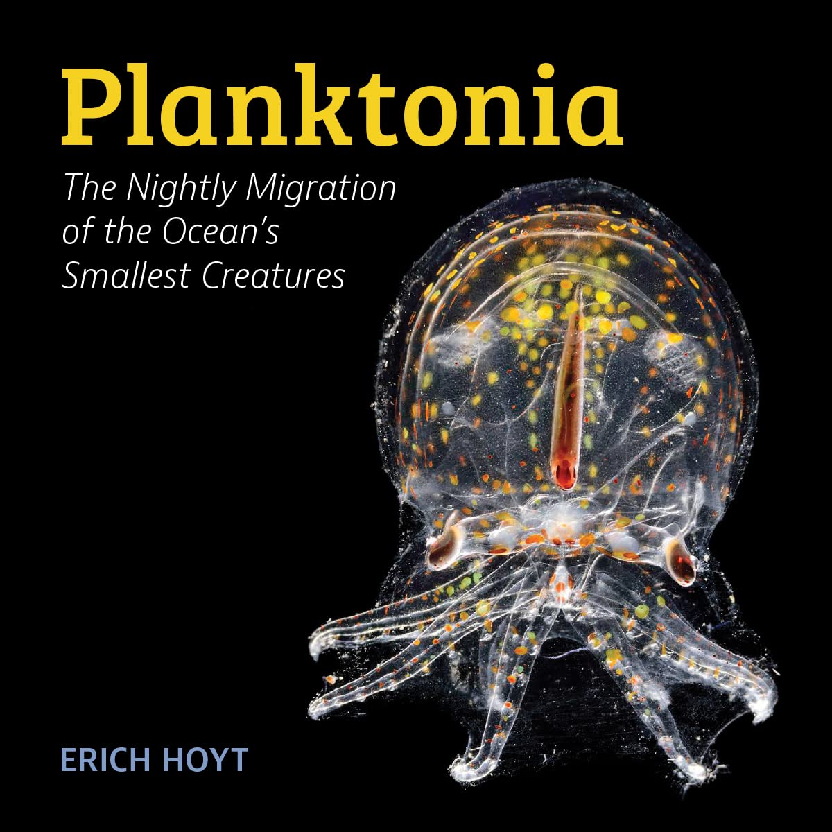 Paradise Clay FFB185 Planktonia: The Nightly Migration of the Ocean's Smallest Creatures - Book