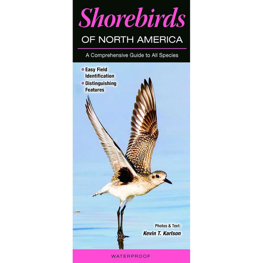 Paradise Clay QRP001 Shorebirds of North America - Folding Pocket Guide