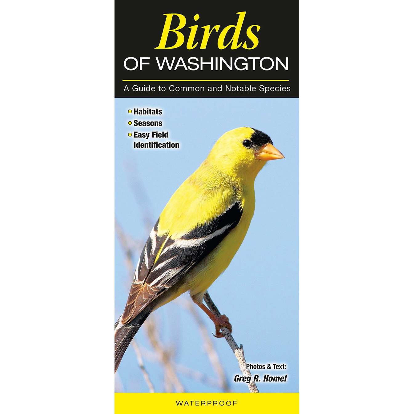 Paradise Clay QRP006 Birds of Washington - Folding Pocket Guide