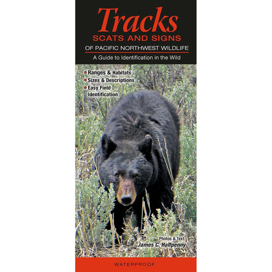 Paradise Clay QRP011 Mammals of the Pacific Northwest: Tracks, Scats & Signs - Folding Pocket Guide