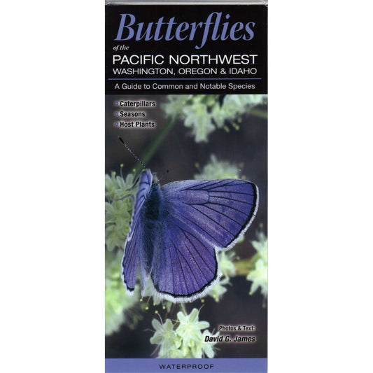 Paradise Clay QRP012 Butterflies of the Pacific Northwest: Washington, Oregon and Idaho - Folding Pocket Guide