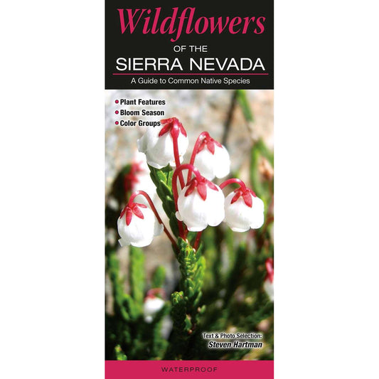Paradise Clay QRP014 Wildflowers of the Sierra Nevada - Folding Pocket Guide
