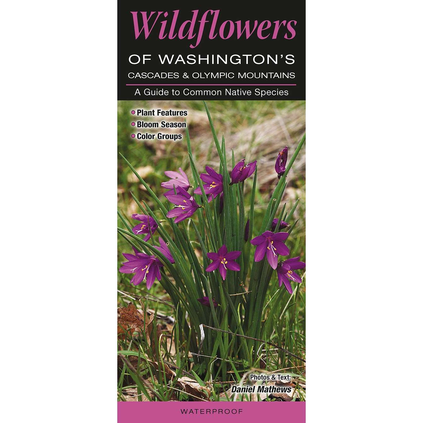 Paradise Clay QRP015 Wildflowers of Washington’s Cascade and Olympic Mountains (Quick Reference Guides) - Folding Pocket Guide