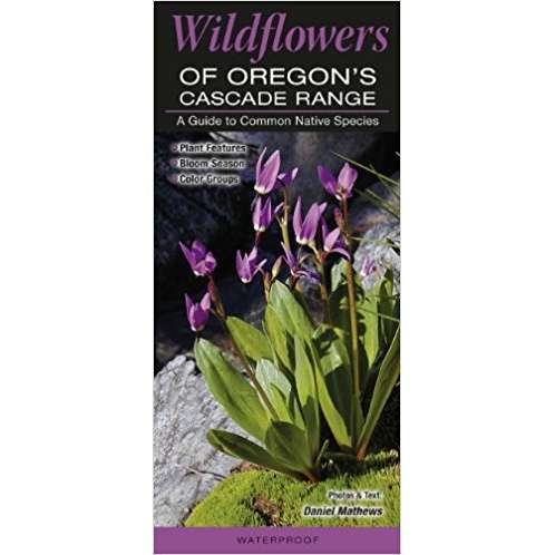 Paradise Clay QRP016 Wildflowers of Oregon’s Cascade Range - Folding Pocket Guide