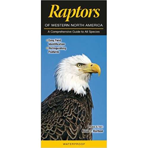 Paradise Clay QRP017 Raptors of Western North America: A Comprehensive Guide to All Species - Folding Pocket Guide