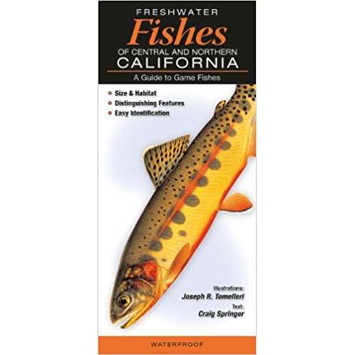 Paradise Clay QRP018 Freshwater Fishes of Central & Northern California - Folding Pocket Guide
