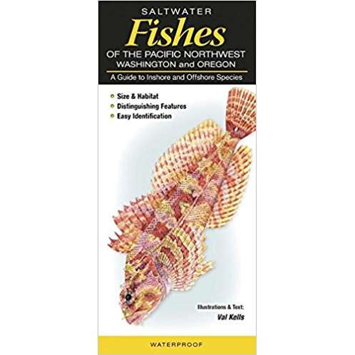 Paradise Clay QRP021 Saltwater Fishes of the Pacific Northwest : Washington and Oregon: A Guide to Inshore and Offshore Species - Folding Pocket Guide