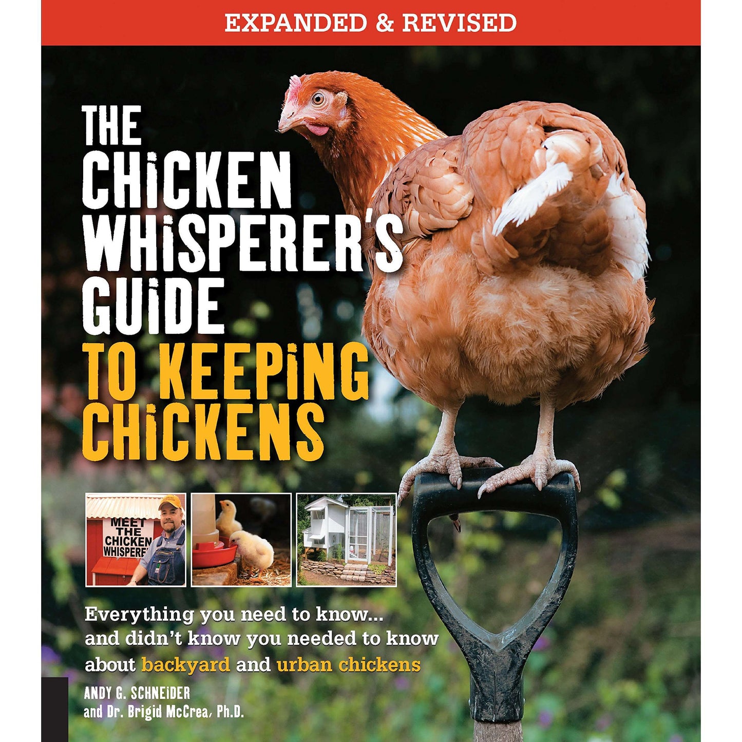 Paradise Clay QRT011 The Chicken Whisperer's Guide to Keeping Chickens, Revised: Everything you need to know. . . and didn't know you needed to know about backyard and urban chickens - Book