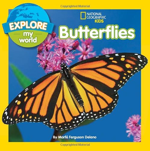 Paradise Clay RAN387 Explore My World Butterflies - Book