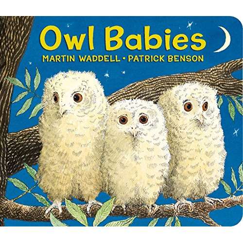 Paradise Clay RAN416 Owl Babies - Book