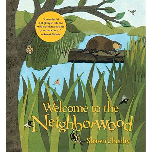 Paradise Clay RAN417 Welcome to the Neighborwood - Book