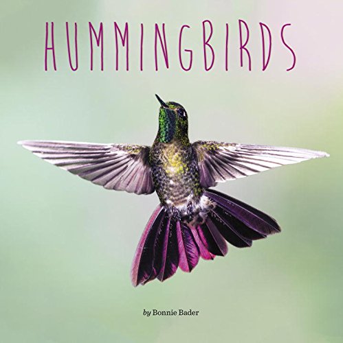 Paradise Clay RAN426 Hummingbirds - Book