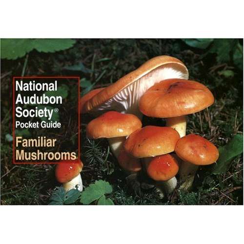 Paradise Clay RAN433 National Audubon Society Pocket Guide to Familiar Mushrooms - Book