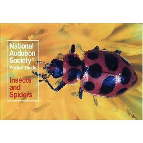 Paradise Clay RAN435 National Audubon Society Pocket Guide: Insects and Spiders - Book