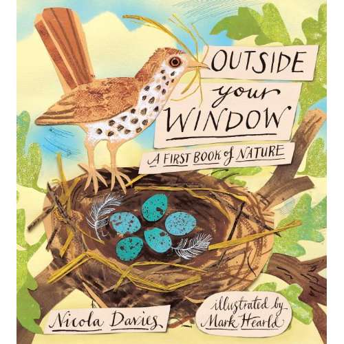 Paradise Clay RAN457 Outside Your Window: A First Book of Nature - Book