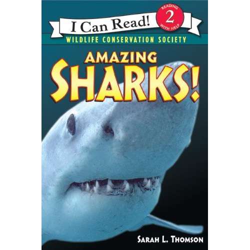 Paradise Clay RAN480 Amazing Sharks! - Book