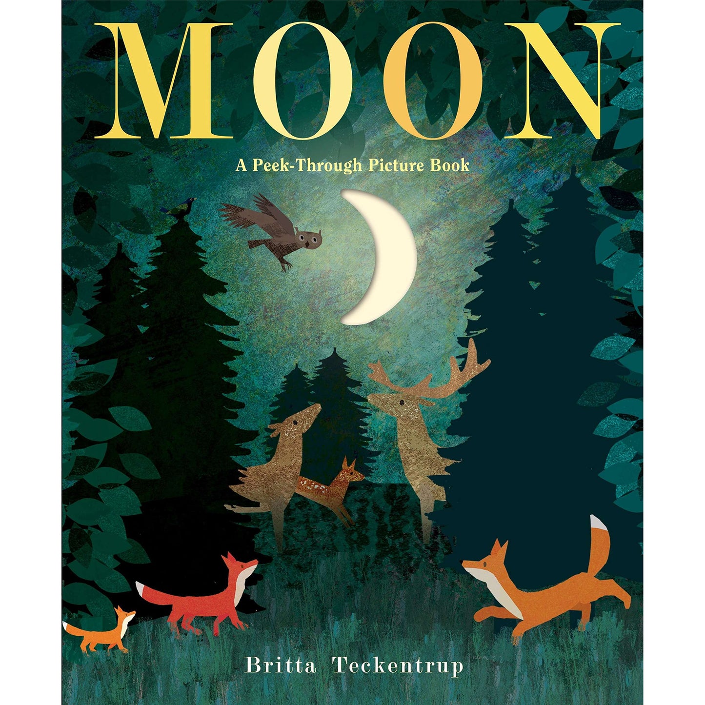 Paradise Clay RAN541 Moon: A Peek-Through Picture Book - Book