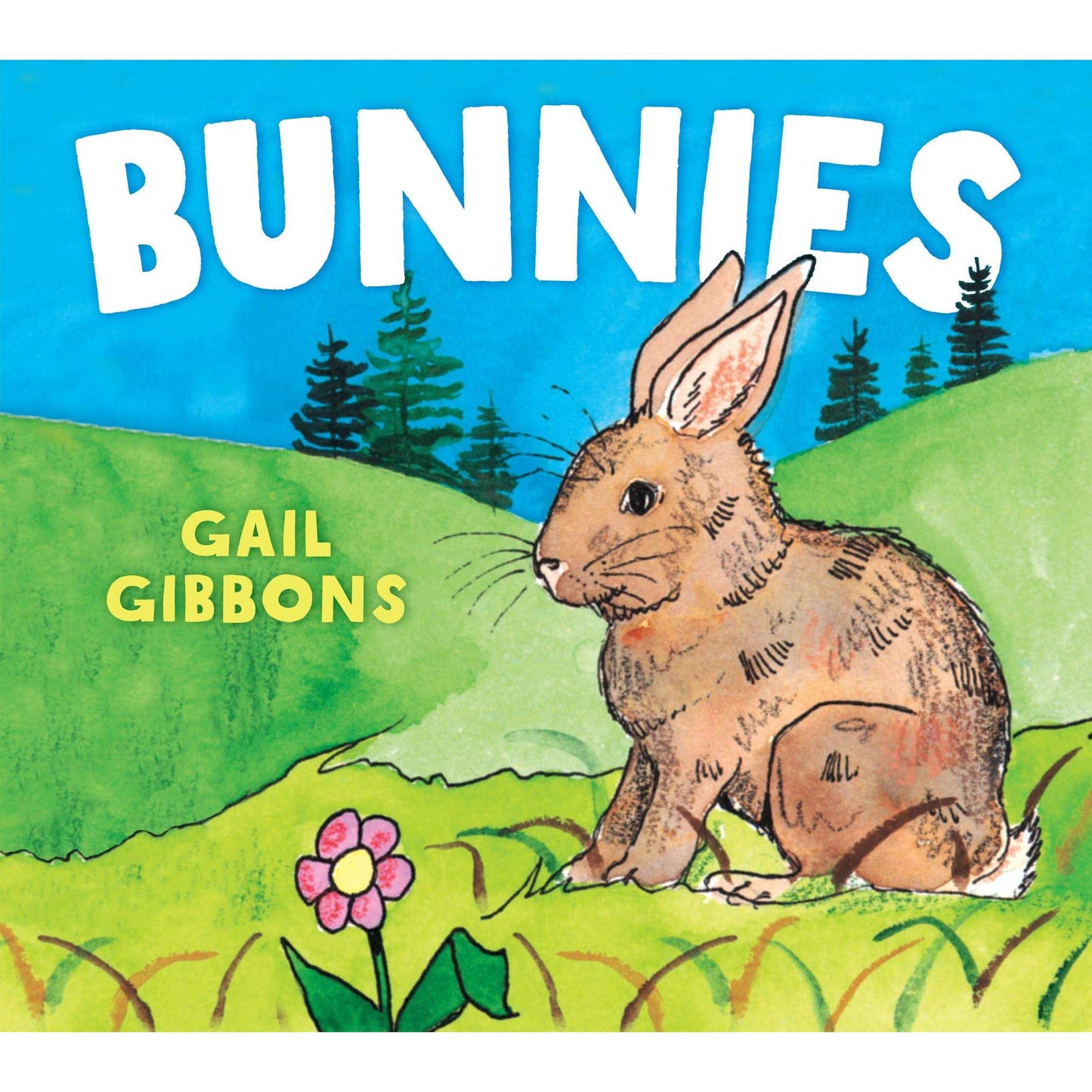 Paradise Clay RAN573 Bunnies - Board Book