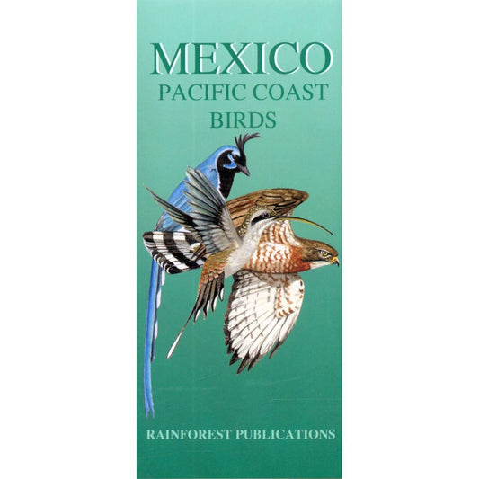 Paradise Clay RFP058 Mexico Pacific Coast Birds Guide - Folding Pocket Guide
