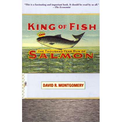 Paradise Clay RUN022 King of Fish - Book