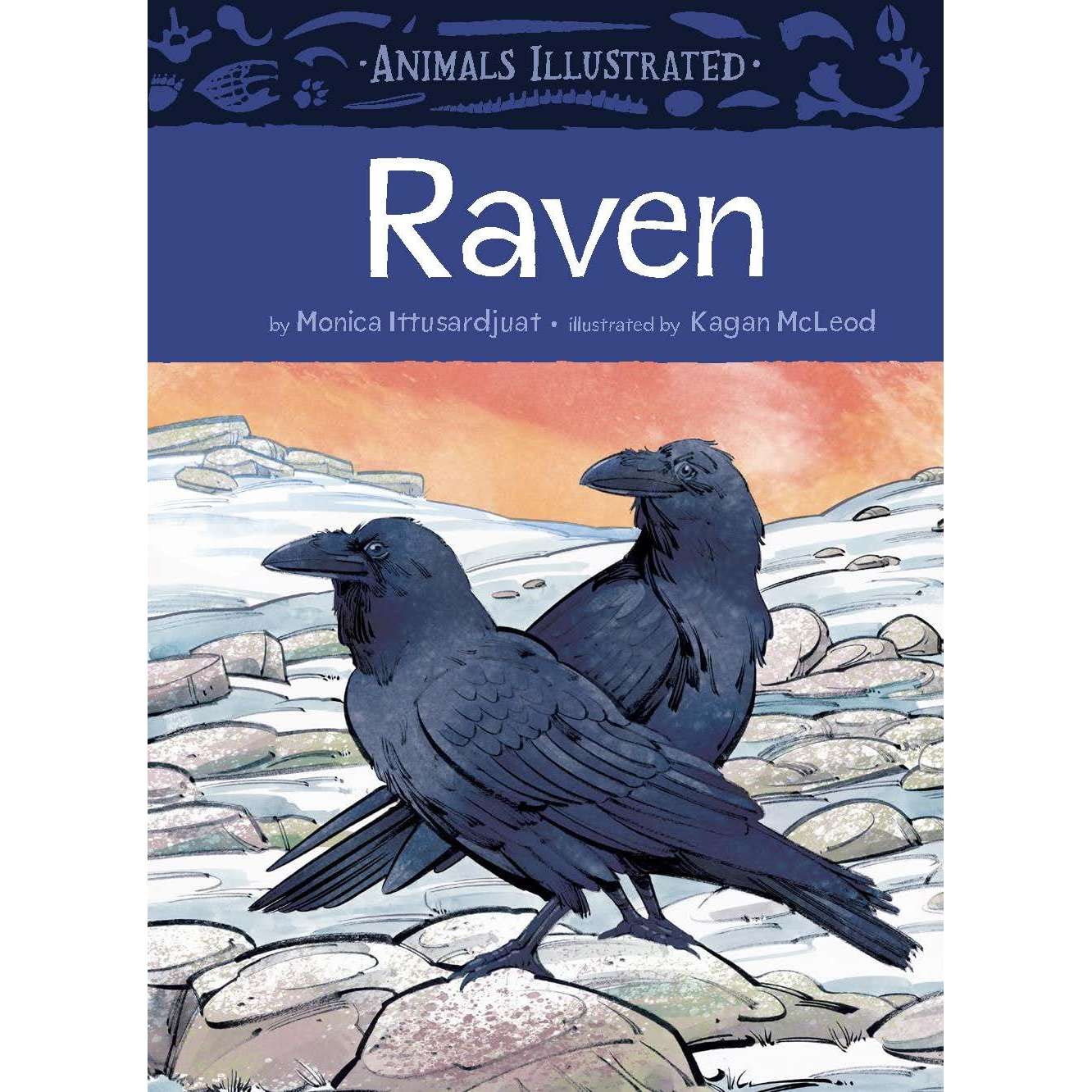 Paradise Clay IPS335 Animals Illustrated: Raven - Book