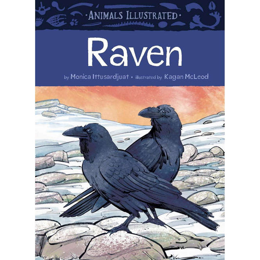 Paradise Clay IPS335 Animals Illustrated: Raven - Book