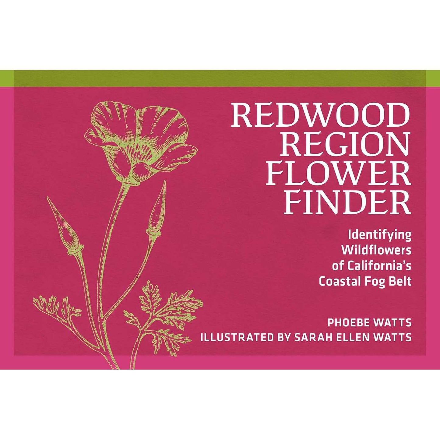 Paradise Clay AVK163 Redwood Region Flower Finder: Identifying Wildflowers of California's Coastal Fog Belt - Staple Bound