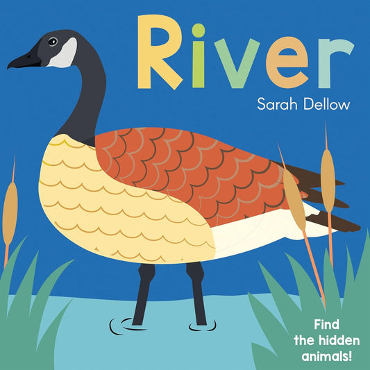 Paradise Clay CPB027 River - Now You See It! - Board Book