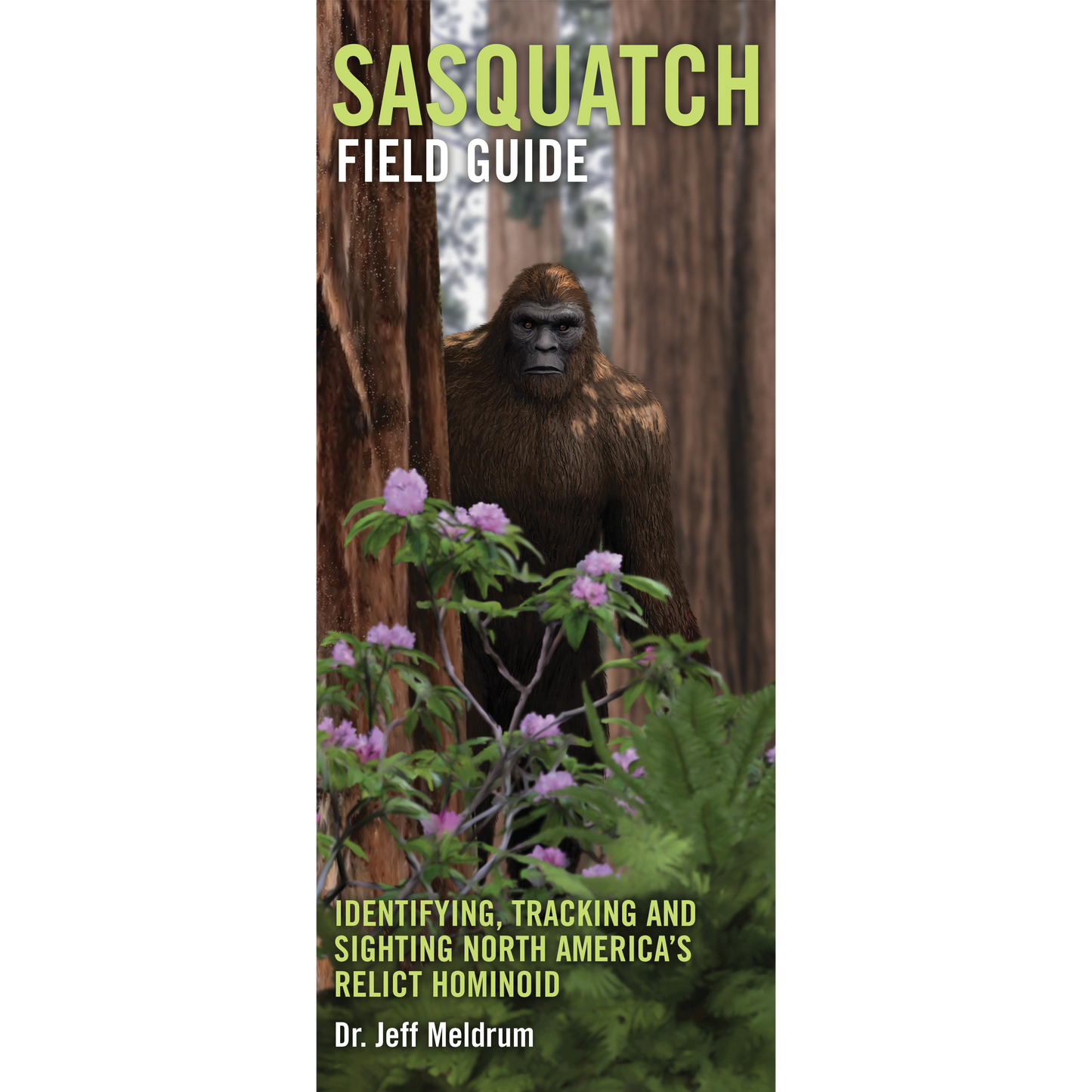 Paradise Clay PAR072 Sasquatch Field Guide - Folding Pocket Guide