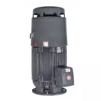 US Motors HT75P2CLG Vertical Hollow-Shaft, Stock