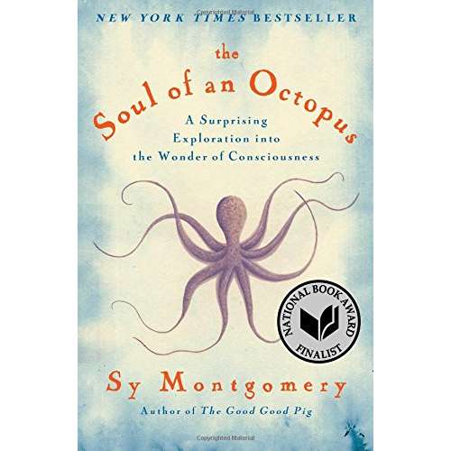 Paradise Clay SIM317 The Soul of an Octopus: A Surprising Exploration into the Wonder of Consciousness - Book