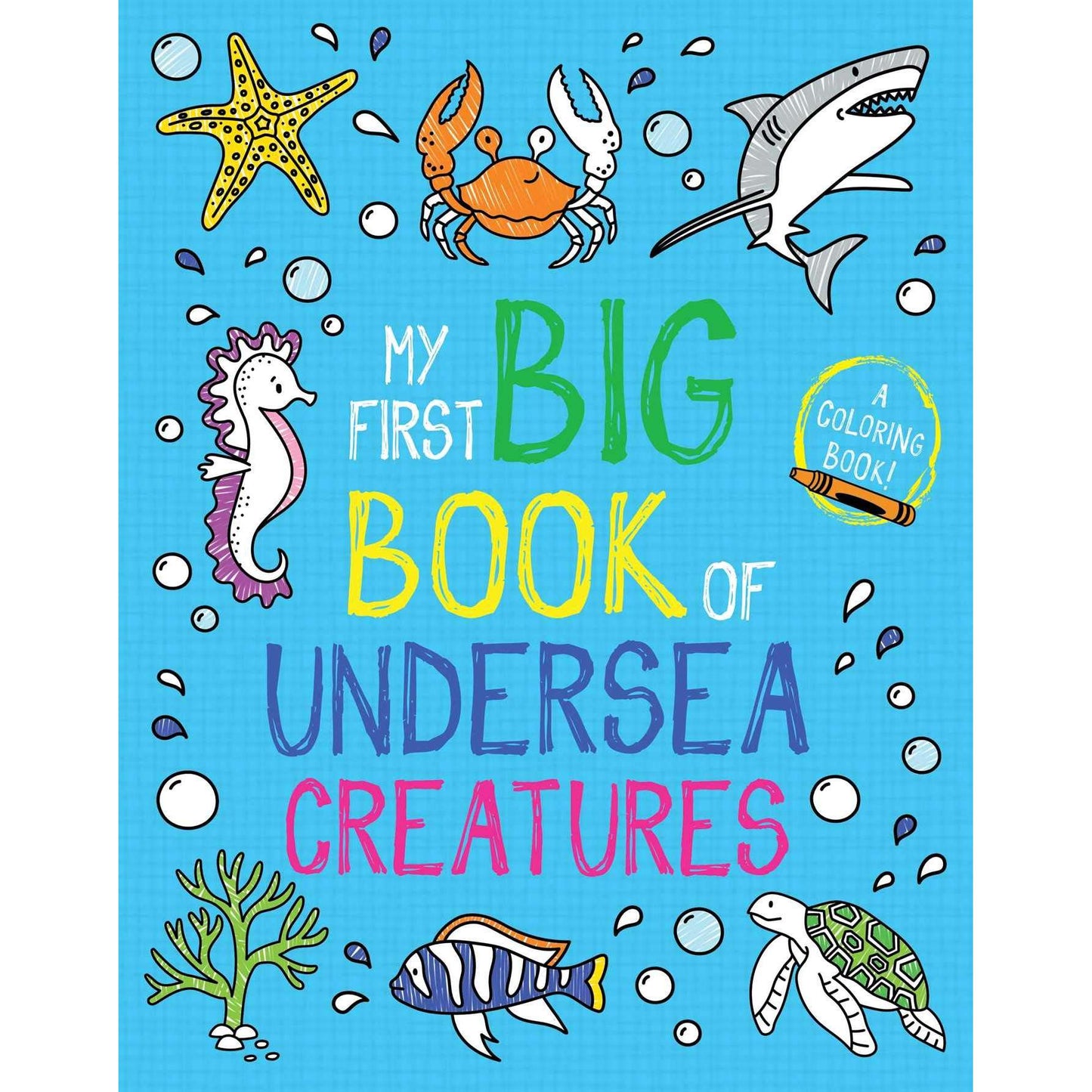 Paradise Clay SIM428 My First Big Book of Undersea Creatures - Book