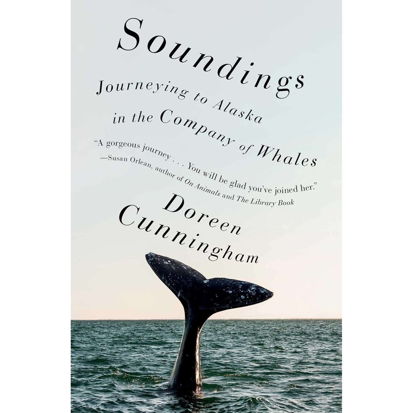 Paradise Clay SIM460 Soundings: Journeys in the Company of Whales: A Memoir - Book