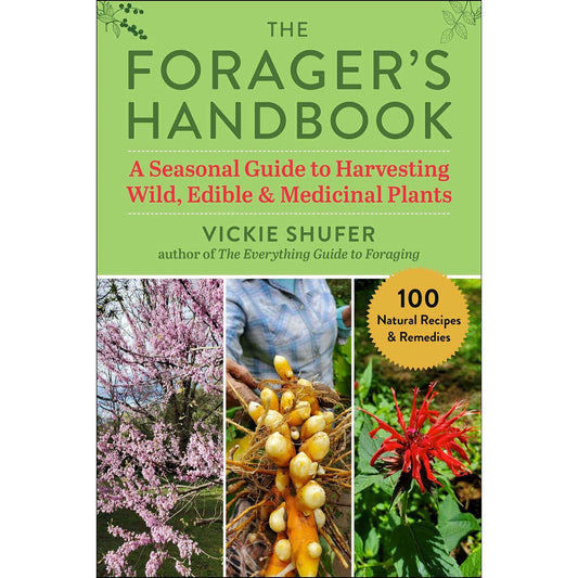 Paradise Clay SKY169 The Forager's Handbook: A Seasonal Guide to Harvesting Wild, Edible & Medicinal Plants - Book