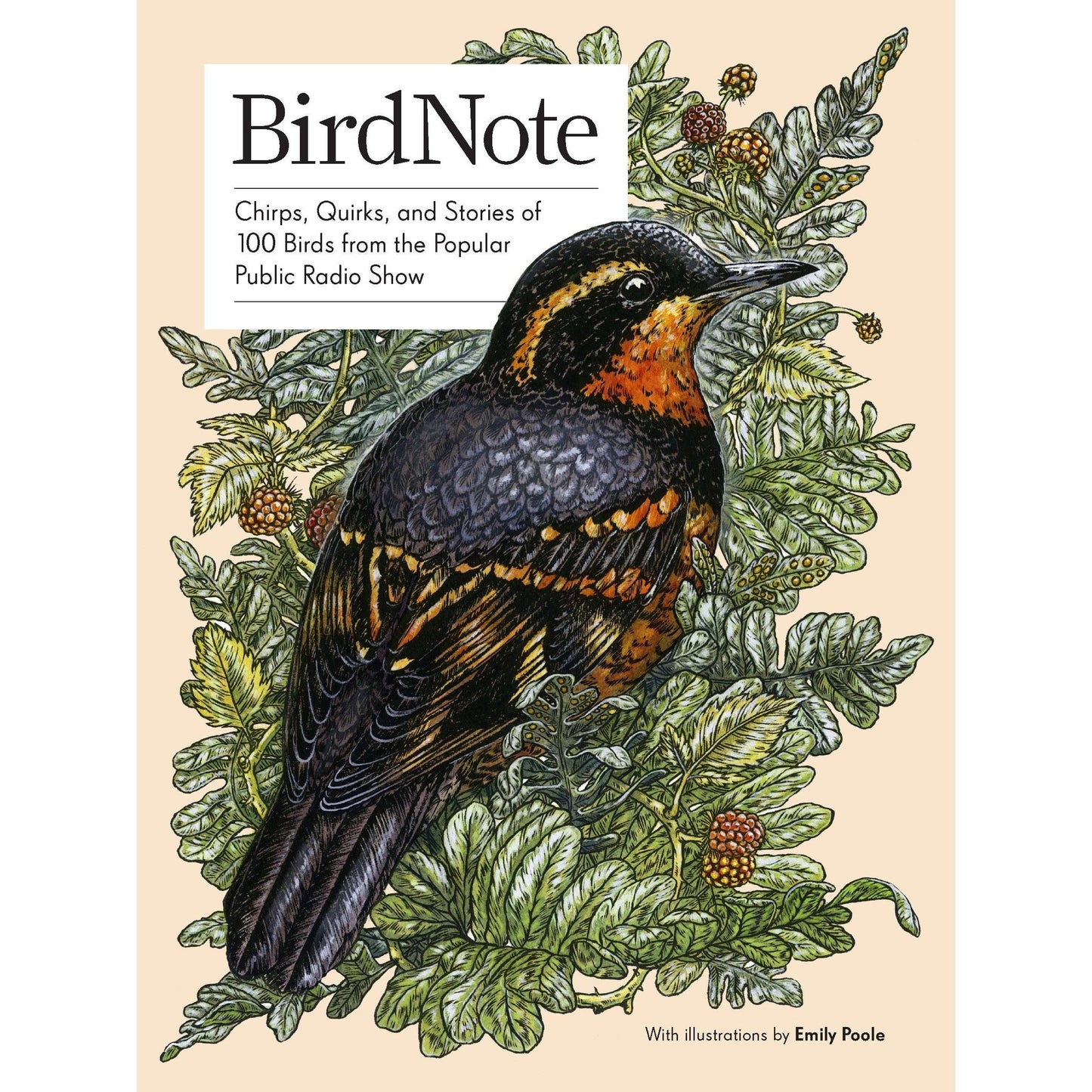 Paradise Clay SQBSP01 Bird Note - Book