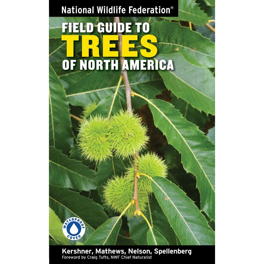 Paradise Clay STL280 National Wildlife Federation Field Guide to Trees of North America - Book