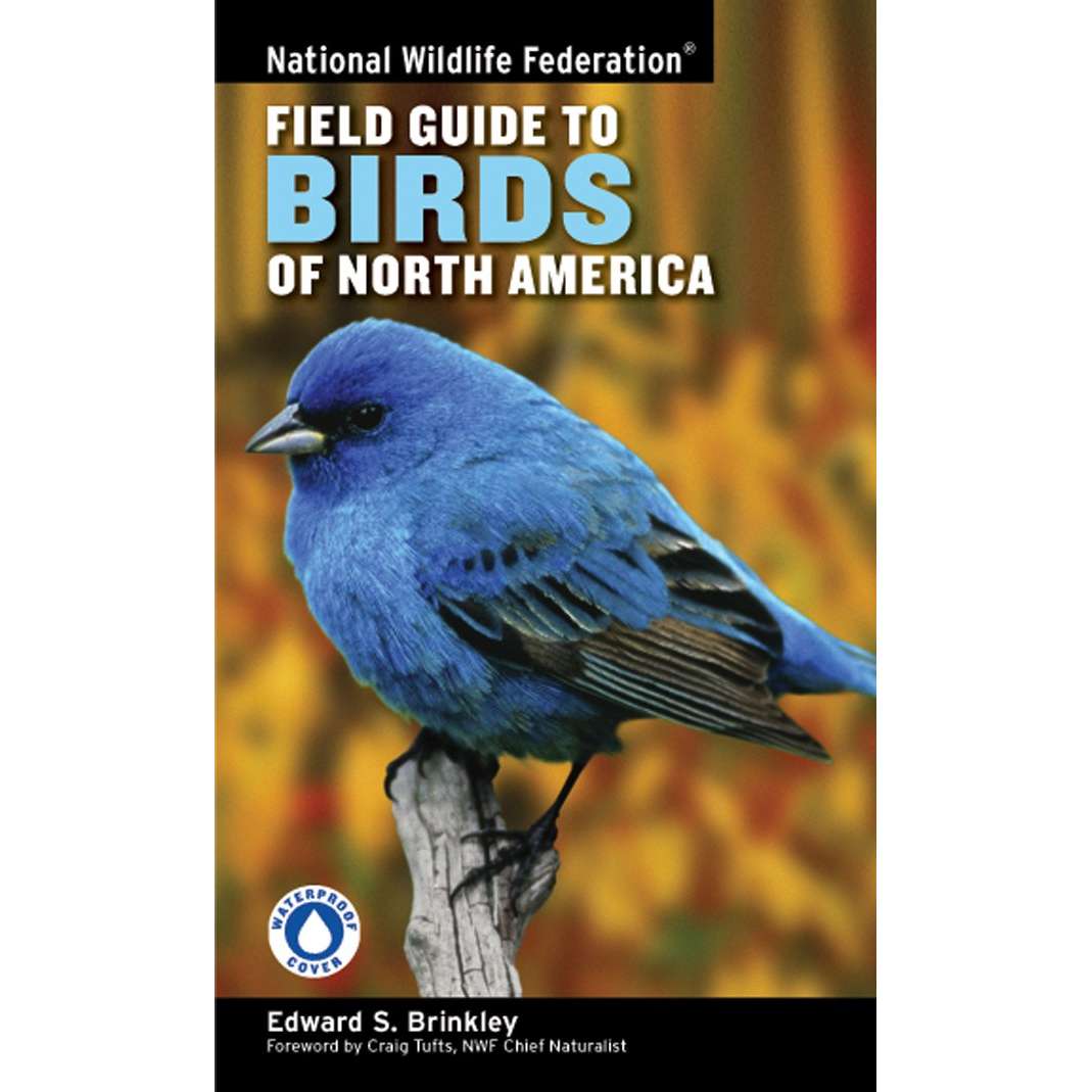 Paradise Clay STL281 National Wildlife Federation Field Guide to Birds of North America - Book