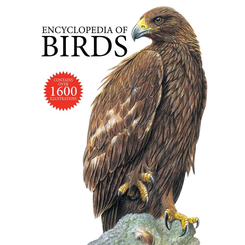 Paradise Clay STL333 Encyclopedia of Birds - Book