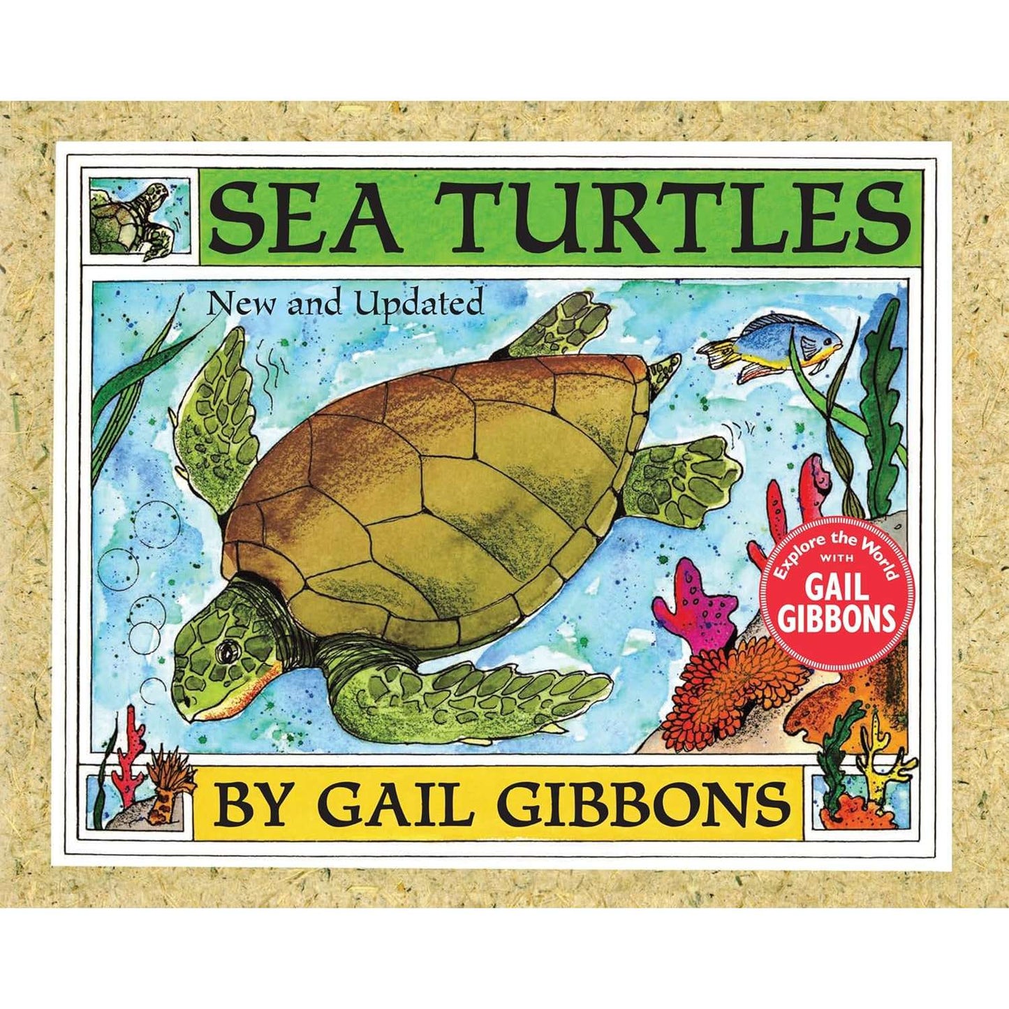 Paradise Clay PGN481 Sea Turtles - Book