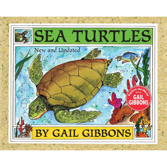 Paradise Clay PGN481 Sea Turtles - Book