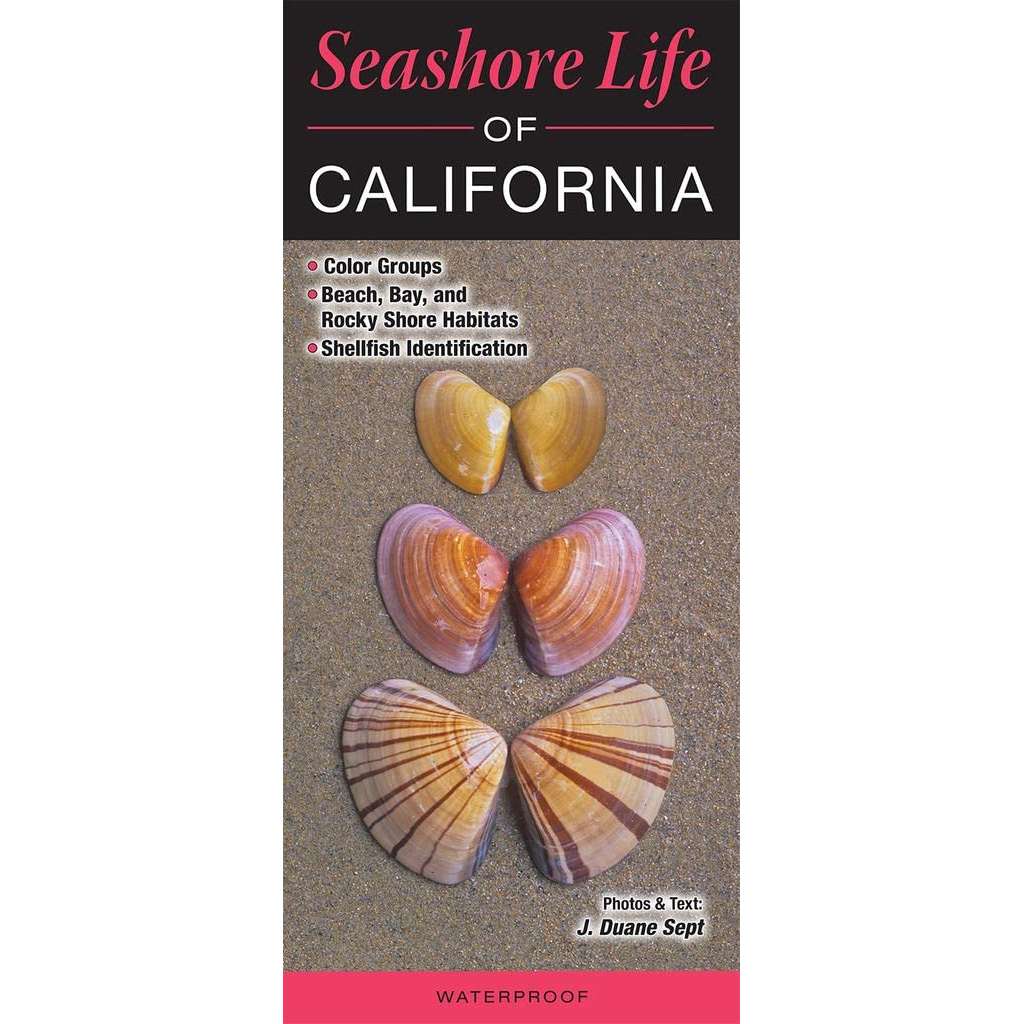 Paradise Clay QRP030 Seashore Life of California - Book