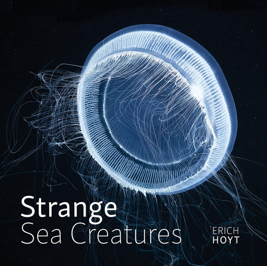 Paradise Clay FFB184 Strange Sea Creatures - Book