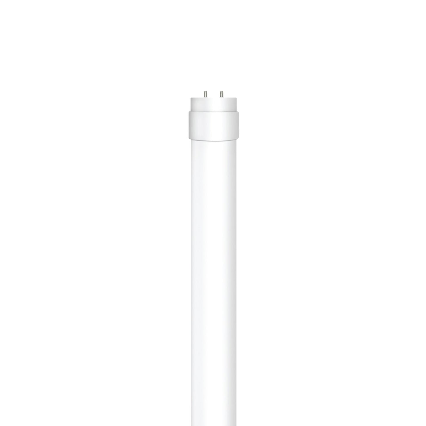 Feit Electric T1248/830/LEDG2/2/RP 4 ft. 20W (40W Replacement) Bright White (3000K) G13 Base Direct Replacement (Type A) (T12 Replacement) LED Linear Tube (2-Pack)