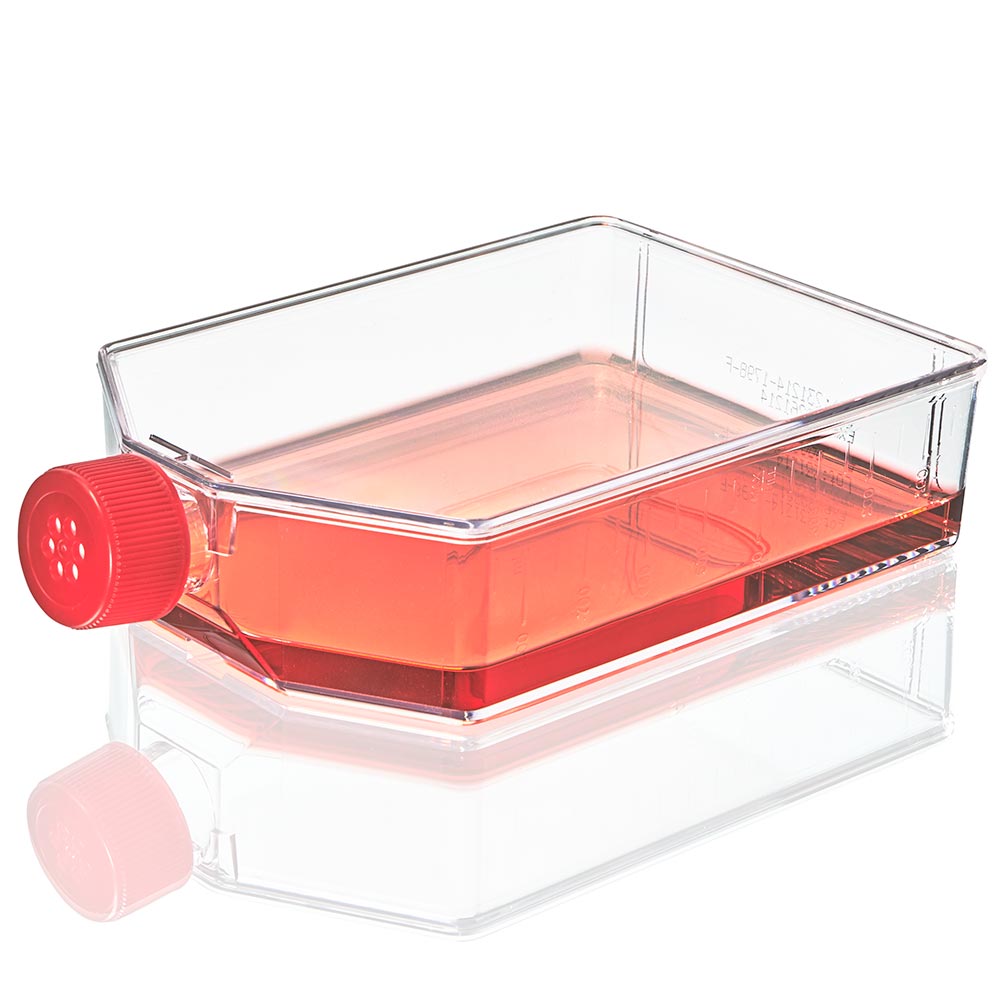 Globe Scientific TC-FLSK-225-V Diamond SureGro Cell Culture Flask Tissue Culture Treated 225cm2 Vent Cap Sterile 5/Bag 25/Case