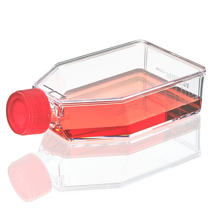 Globe Scientific TC-FLSK-75-P Diamond SureGro Cell Culture Flask Tissue Culture Treated 75cm2 Plug Cap Sterile 5/Bag 100/Case